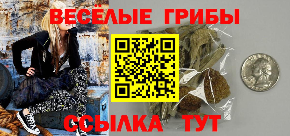 Псилоцибиновые грибы Psilocybine cubensis Фролово