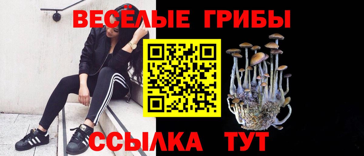 Псилоцибиновые грибы мицелий  цена наркотик  Псилоцибиновые грибы GOLDEN TEACHER  Фролово  Вход с VPN 